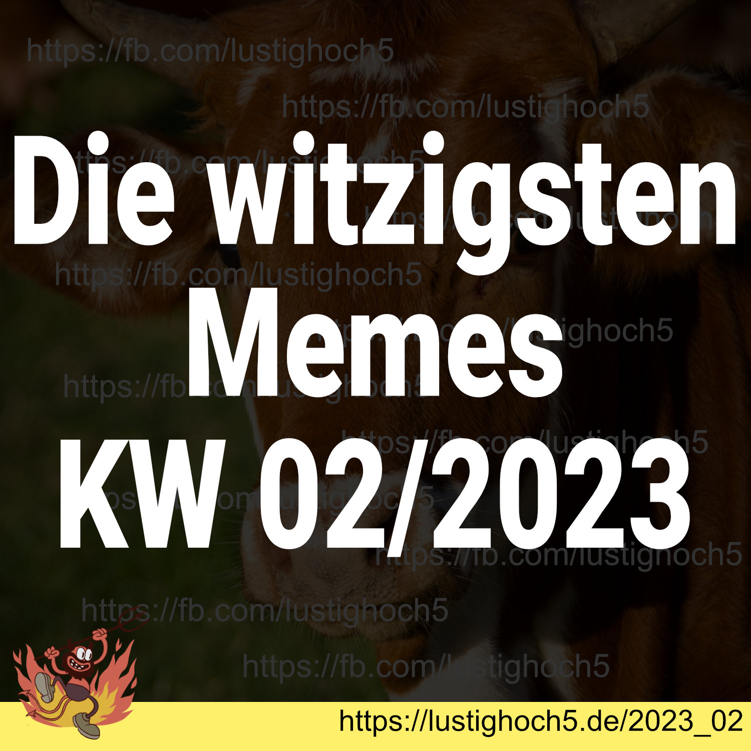 Die witzigsten Memes KW 02/2023 Lustig Hoch 5