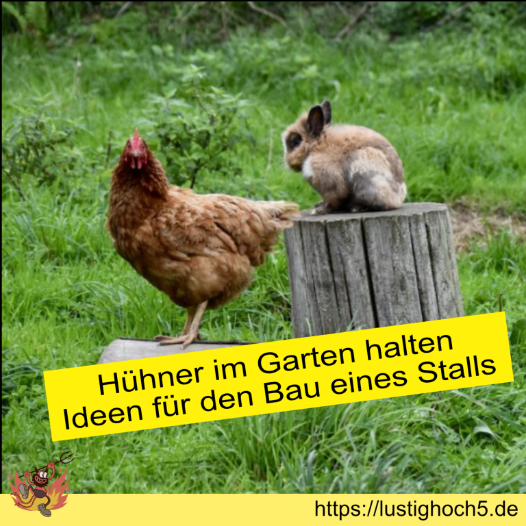 Hühner im Garten halten Ideen für den Bau eines Hühnerstalls Lustig