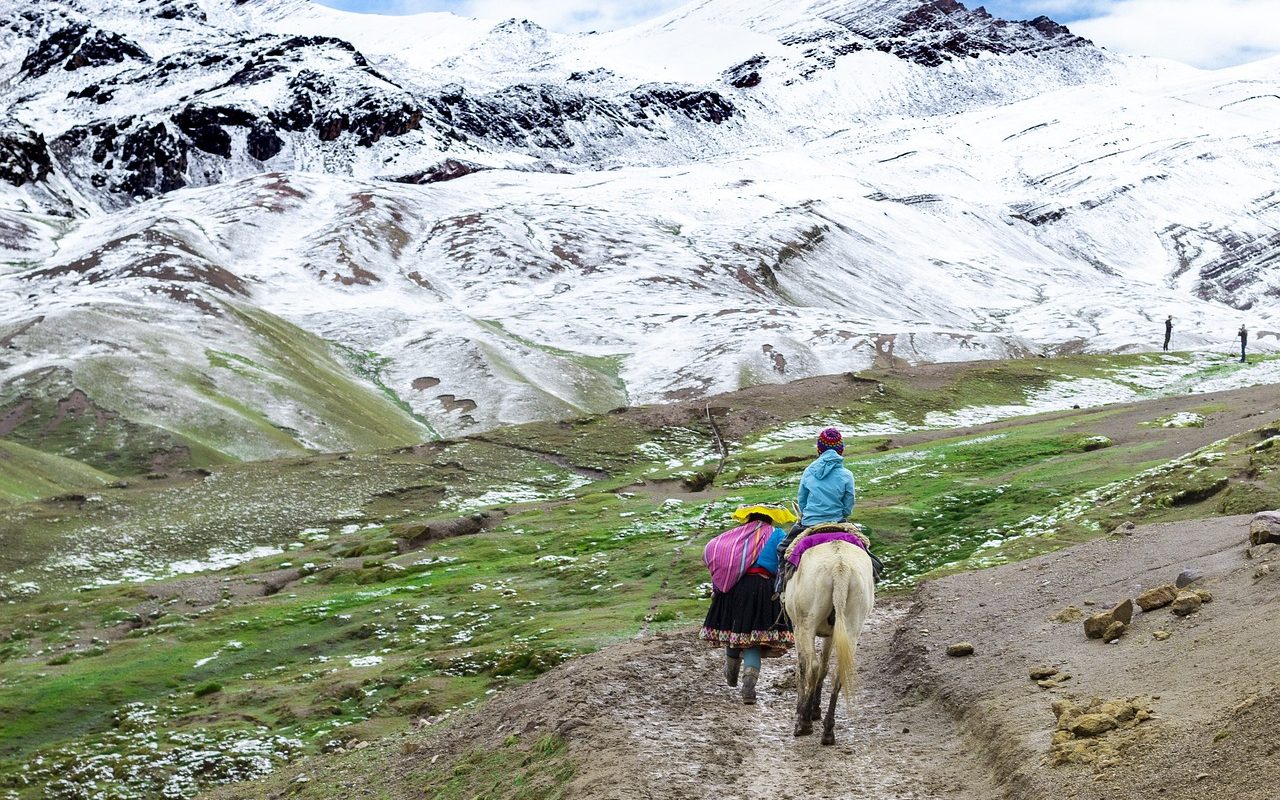 Südamerika - Peru - Die Heimat von Alpakas oder Lamas