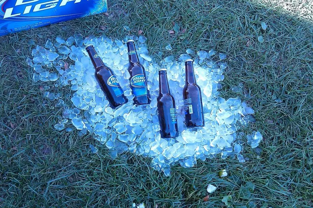 beer, ice, drink-321308.jpg