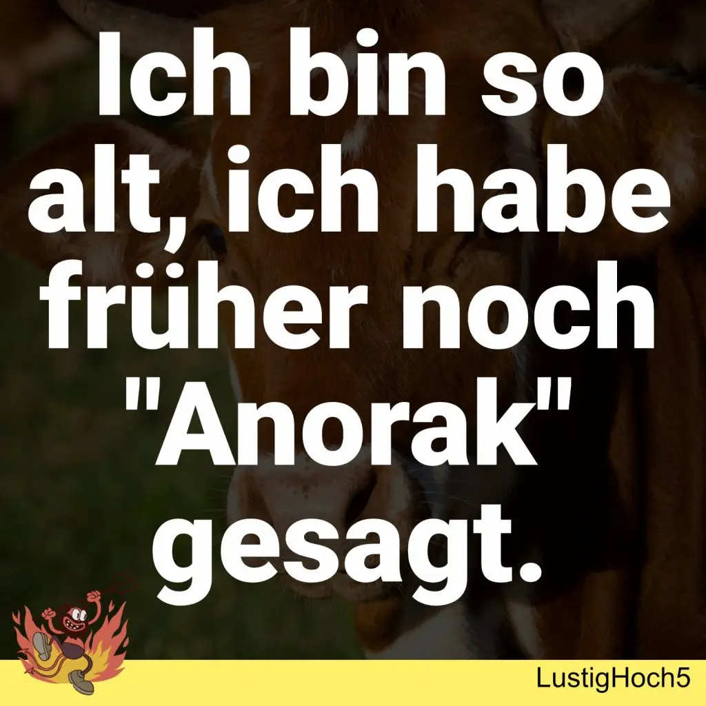 Die witzigsten Memes KW 02/2023 12