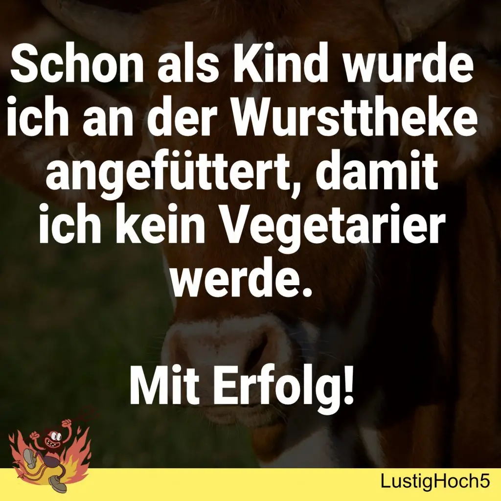 Die witzigsten Memes KW 02/2023 11 Witziger Meme Beitrag