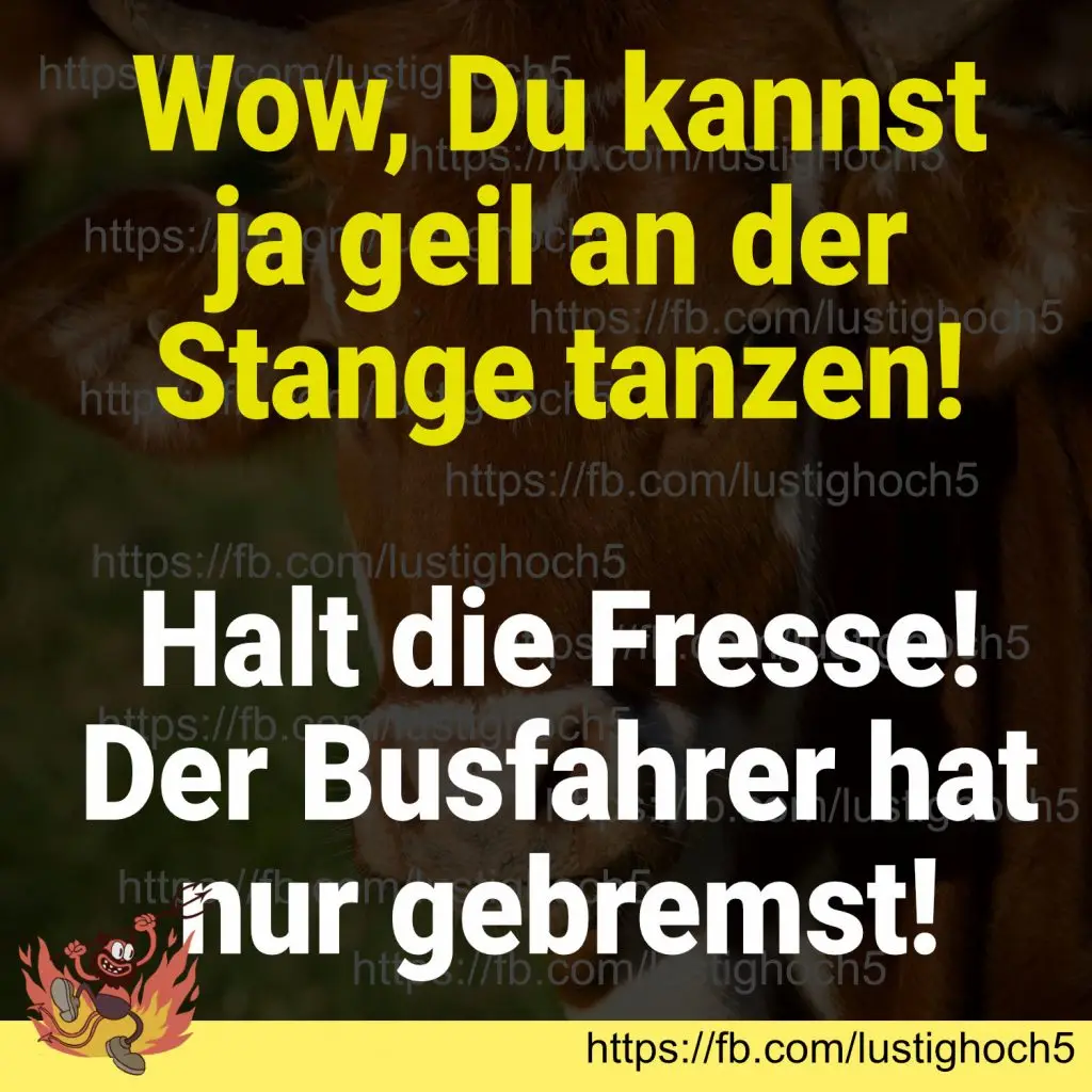Die witzigsten Memes KW 02/2023 8 Witziger Meme Beitrag