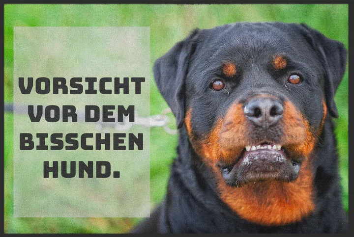 Lustige Fußmatten 8 Lustige Fußmatten - Vorsicht vor dem Hund